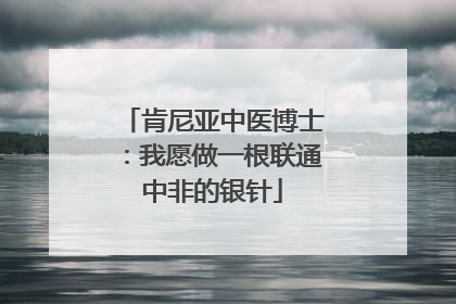 肯尼亚中医博士：我愿做一根联通中非的银针