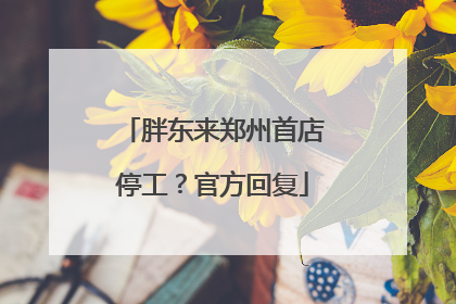 胖东来郑州首店停工？官方回复
