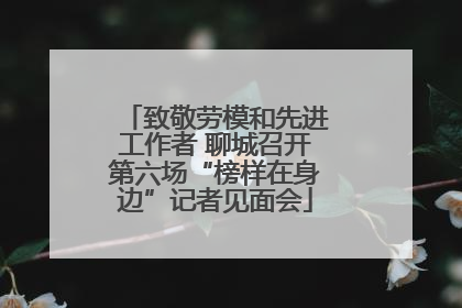 致敬劳模和先进工作者 聊城召开第六场“榜样在身边”记者见面会