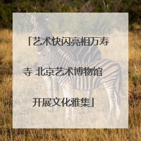艺术快闪亮相万寿寺 北京艺术博物馆开展文化雅集
