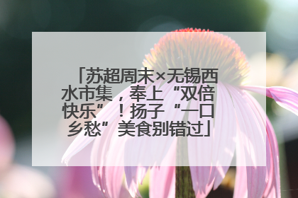 苏超周末×无锡西水市集，奉上“双倍快乐”！扬子“一口乡愁”美食别错过
