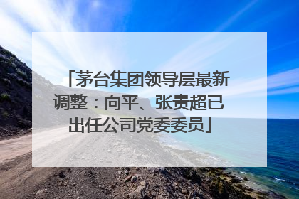 茅台集团领导层最新调整：向平、张贵超已出任公司党委委员
