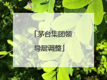 茅台集团领导层调整
