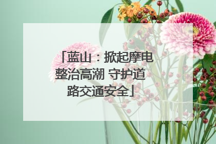 蓝山：掀起摩电整治高潮 守护道路交通安全