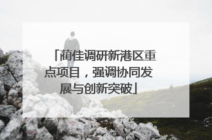 蔺佳调研新港区重点项目，强调协同发展与创新突破