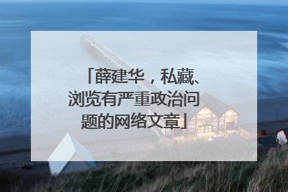 薛建华，私藏、浏览有严重政治问题的网络文章