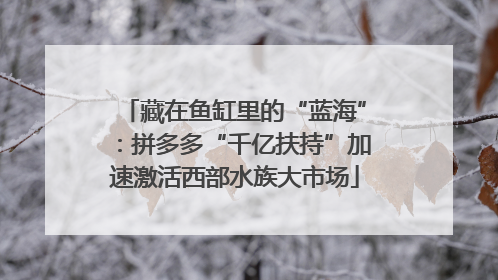 藏在鱼缸里的“蓝海”：拼多多“千亿扶持”加速激活西部水族大市场