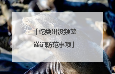 蛇类出没频繁 谨记防范事项