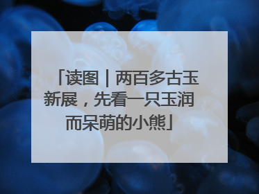读图｜两百多古玉新展，先看一只玉润而呆萌的小熊