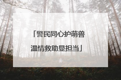 警民同心护萌兽 温情救助显担当