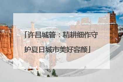 许昌城管：精耕细作守护夏日城市美好容颜