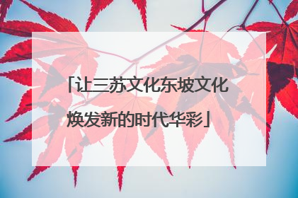 让三苏文化东坡文化焕发新的时代华彩