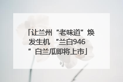 让兰州“老味道”焕发生机 “兰白946”白兰瓜即将上市
