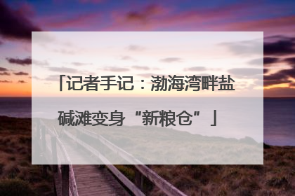记者手记：渤海湾畔盐碱滩变身“新粮仓”