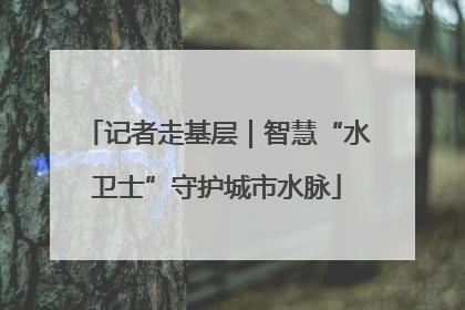 记者走基层｜智慧“水卫士”守护城市水脉
