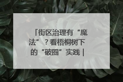 街区治理有“魔法”？看梧桐树下的“破圈”实践｜我在街区当书记