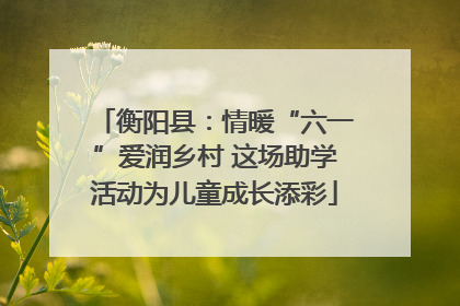 衡阳县：情暖“六一”爱润乡村 这场助学活动为儿童成长添彩