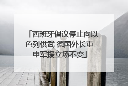 西班牙倡议停止向以色列供武 德国外长重申军援立场不变