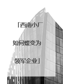 西南小厂如何蝶变为领军企业