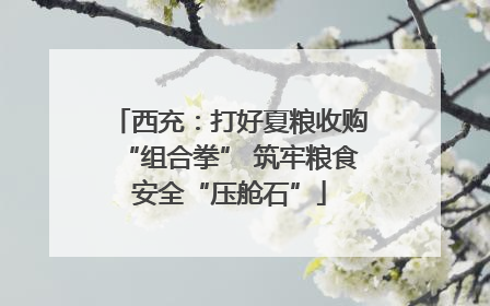 西充：打好夏粮收购“组合拳” 筑牢粮食安全“压舱石”