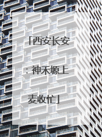 西安长安：神禾塬上麦收忙