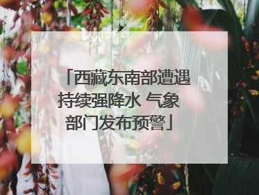西藏东南部遭遇持续强降水 气象部门发布预警