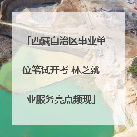 西藏自治区事业单位笔试开考 林芝就业服务亮点频现