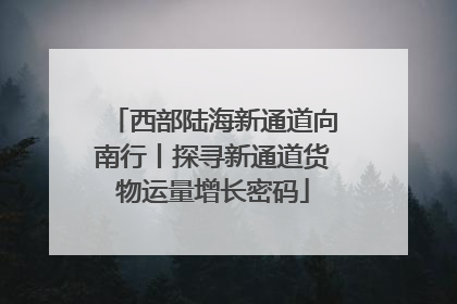 西部陆海新通道向南行丨探寻新通道货物运量增长密码