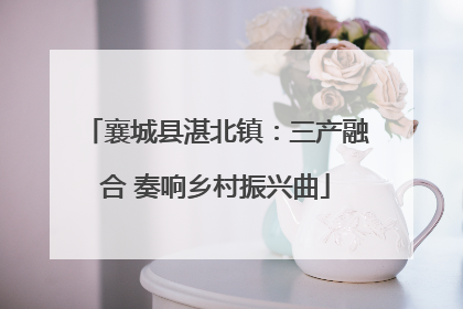 襄城县湛北镇：三产融合 奏响乡村振兴曲