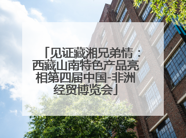 见证藏湘兄弟情：西藏山南特色产品亮相第四届中国-非洲经贸博览会