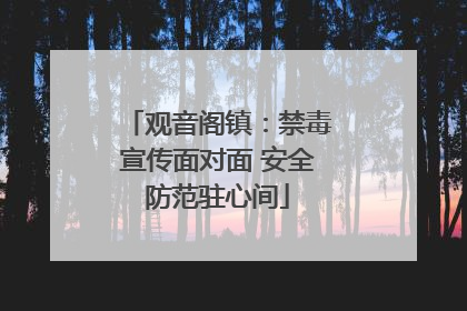 观音阁镇：禁毒宣传面对面 安全防范驻心间