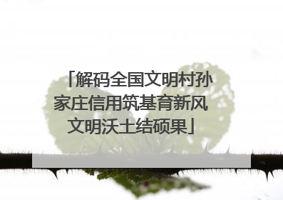 解码全国文明村孙家庄信用筑基育新风文明沃土结硕果