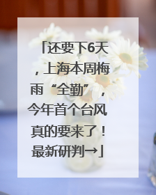 还要下6天，上海本周梅雨“全勤”，今年首个台风真的要来了！最新研判→