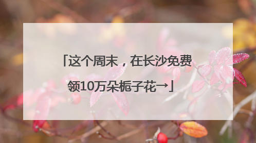 这个周末，在长沙免费领10万朵栀子花→