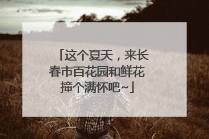 这个夏天，来长春市百花园和鲜花撞个满怀吧~