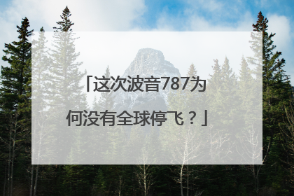 这次波音787为何没有全球停飞？
