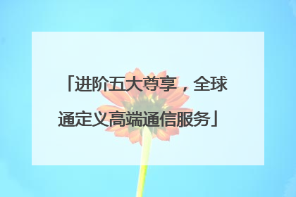 进阶五大尊享，全球通定义高端通信服务