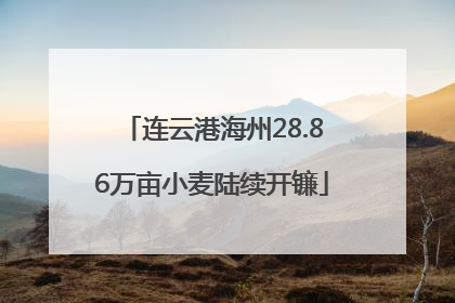 连云港海州28.86万亩小麦陆续开镰
