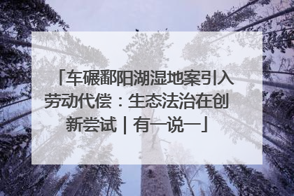 车碾鄱阳湖湿地案引入劳动代偿：生态法治在创新尝试｜有一说一