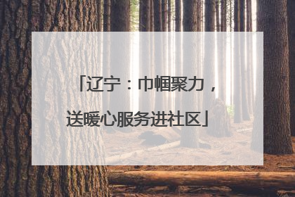 辽宁：巾帼聚力，送暖心服务进社区