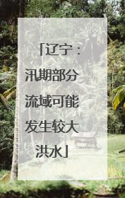 辽宁：汛期部分流域可能发生较大洪水