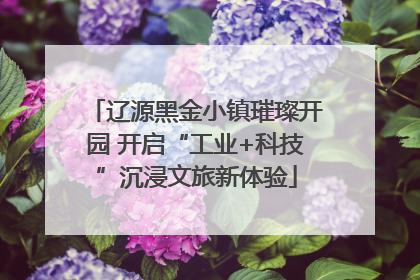 辽源黑金小镇璀璨开园 开启“工业+科技”沉浸文旅新体验