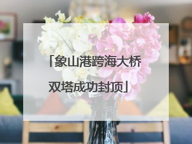 象山港跨海大桥双塔成功封顶