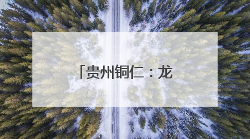 贵州铜仁：龙舟巡游迎端午