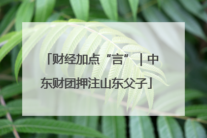 财经加点“言”｜中东财团押注山东父子