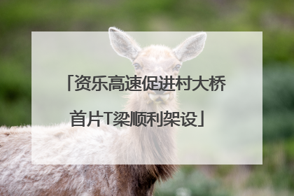 资乐高速促进村大桥首片T梁顺利架设