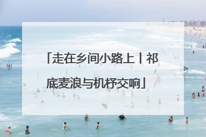 走在乡间小路上丨祁底麦浪与机杼交响