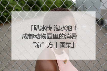 趴冰砖 泡水池！成都动物园里的消暑“凉”方丨图集