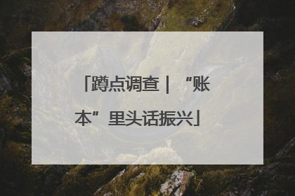 蹲点调查｜“账本”里头话振兴