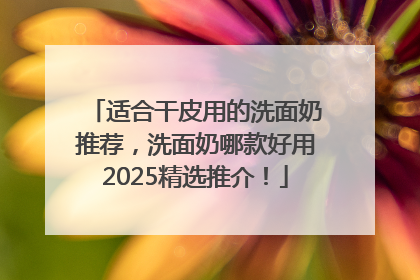 适合干皮用的洗面奶推荐，洗面奶哪款好用2025精选推介！